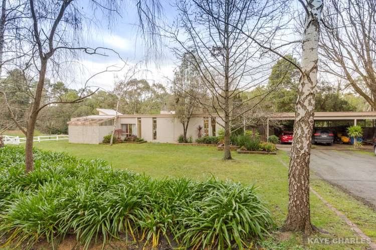 Third view of Homely house listing, 46 Beaconsfield-Emerald Road, Beaconsfield Upper VIC 3808