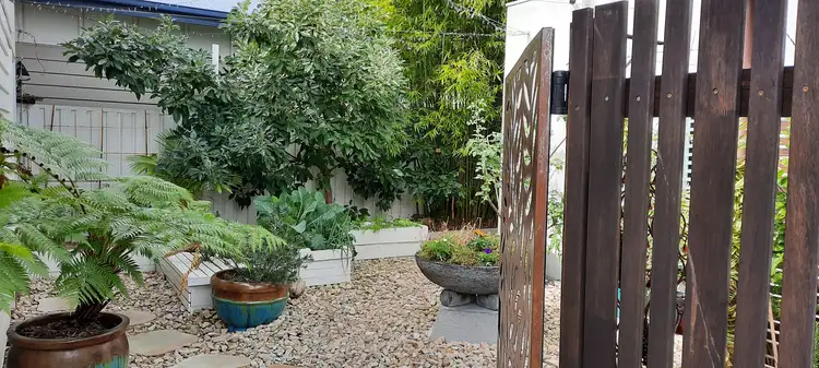 Third view of Homely townhouse listing, 1/6 STEPHANIE CLOSE, Mudjimba QLD 4564