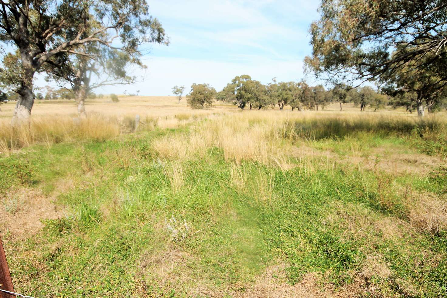 Main view of Homely residentialLand listing, LOT 127/Lot Hall Road, Merriwa NSW 2329