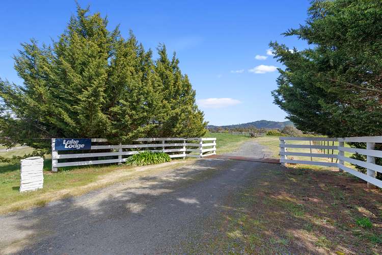 Third view of Homely acreageSemiRural listing, 534 Howes Creek Road, Mansfield VIC 3722