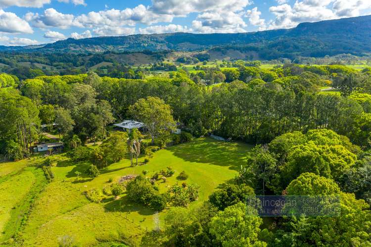 Fifth view of Homely acreageSemiRural listing, 354 Main Arm Road, Mullumbimby NSW 2482