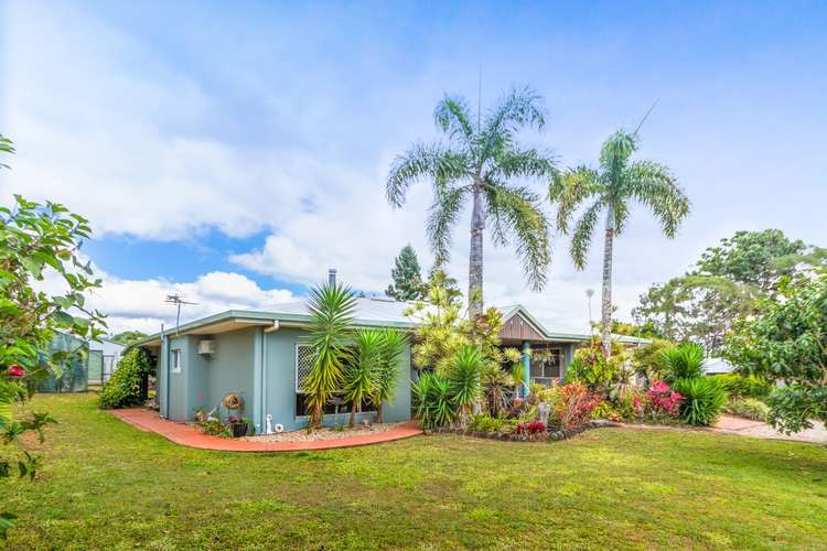 Third view of Homely house listing, 8 Poinsettia Close, Yungaburra QLD 4884