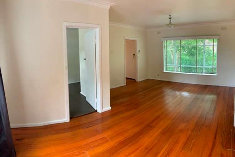 Main view of Homely house listing, 19 Packham Street, Box Hill North VIC 3129