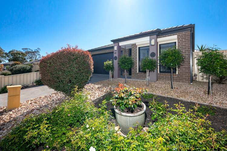 Main view of Homely house listing, 49 Casuarina Street, Kilmore VIC 3764