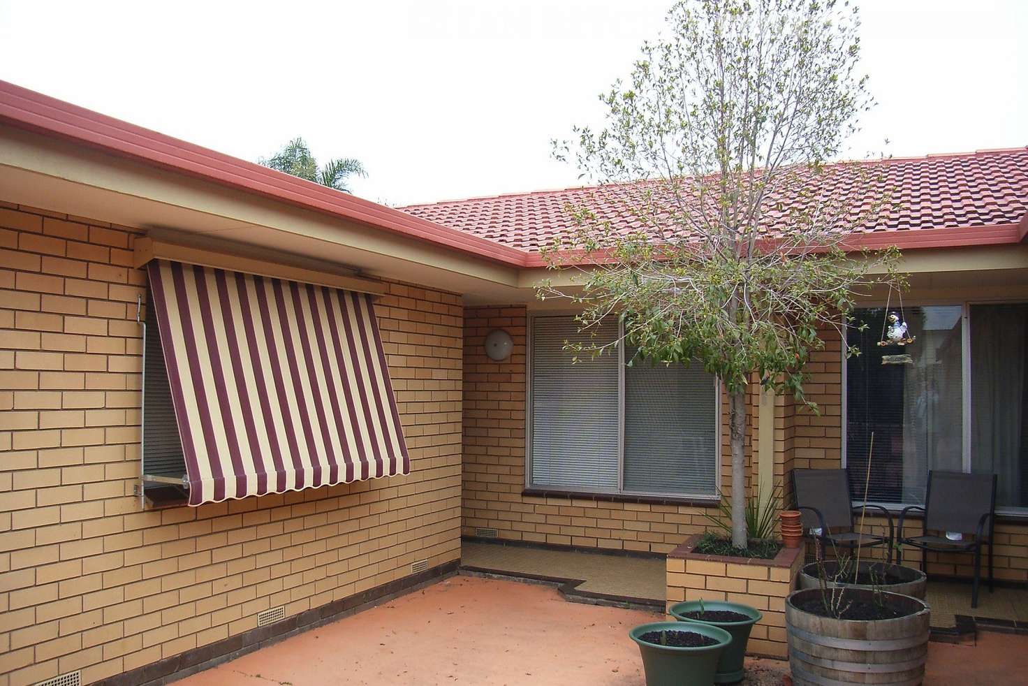 Main view of Homely unit listing, 3/431 Douglas Road, Lavington NSW 2641