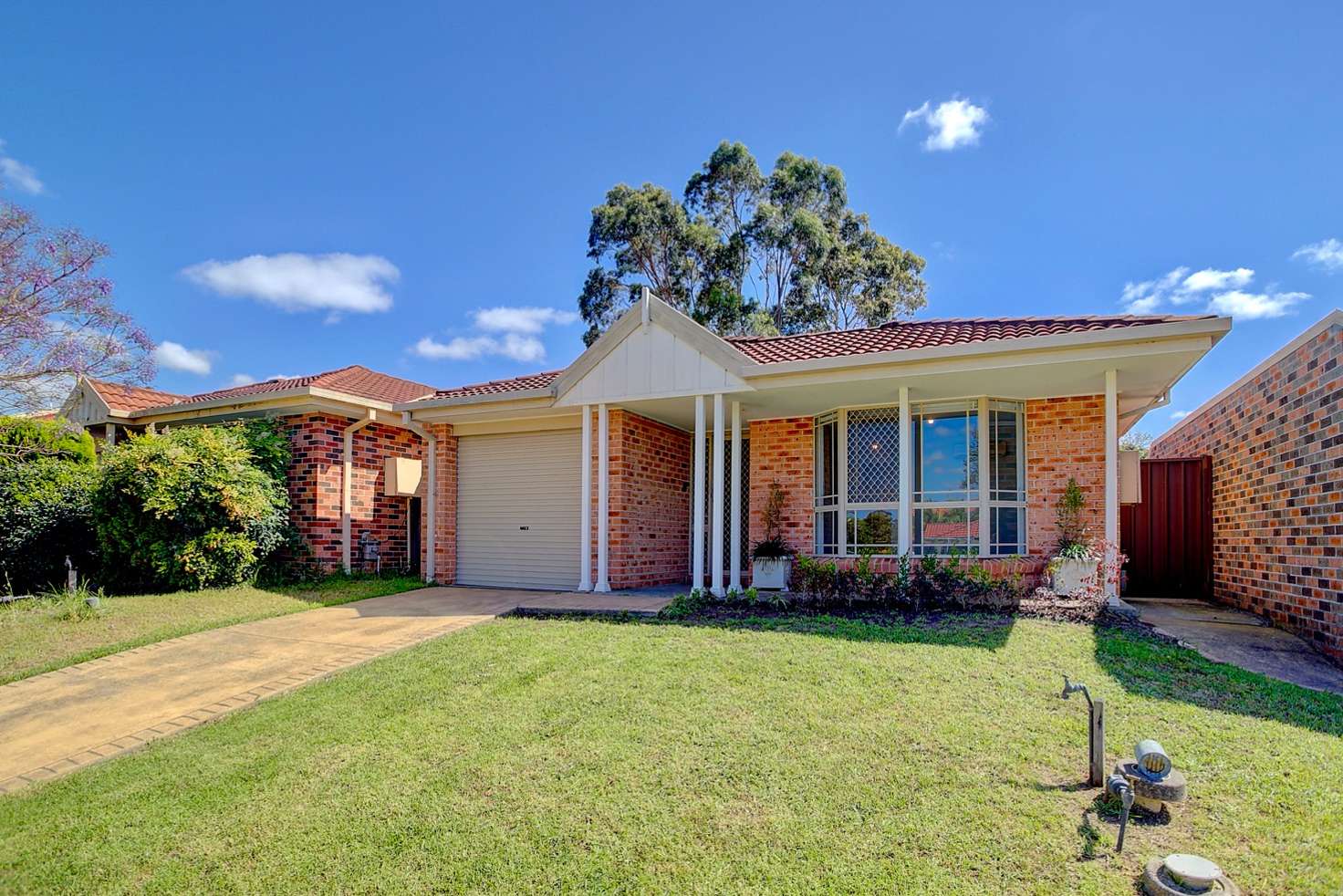 Main view of Homely house listing, 9 Tristania Grove, Greenacre NSW 2190