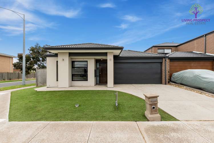 41 Seagrass Crescent, Point Cook VIC 3030
