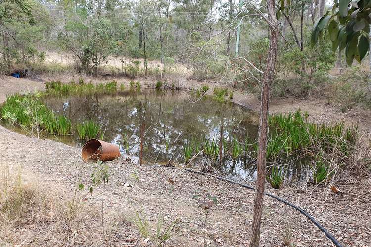 Fourth view of Homely farmlet listing, 289 Crumpton Drive, Blackbutt QLD 4314