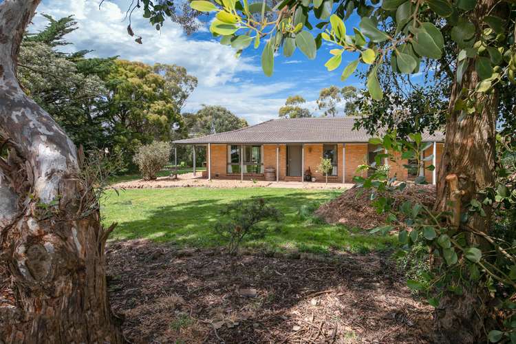 Main view of Homely house listing, 10 Old Farm Way, Romsey VIC 3434