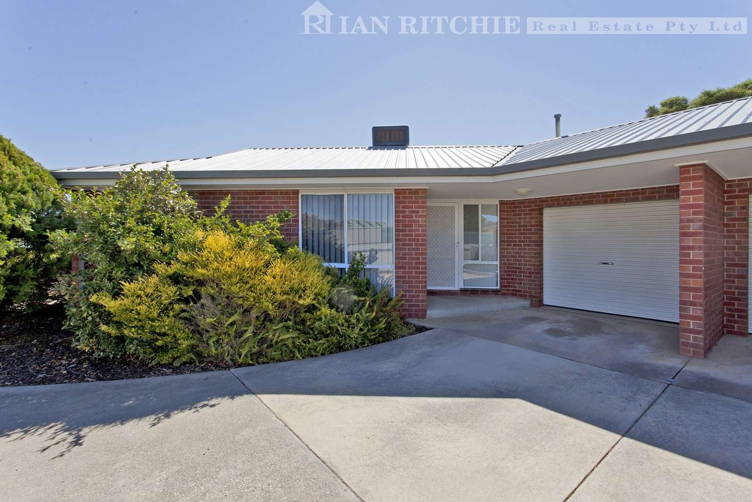 Main view of Homely unit listing, 1/6 Owen Court, Lavington NSW 2641
