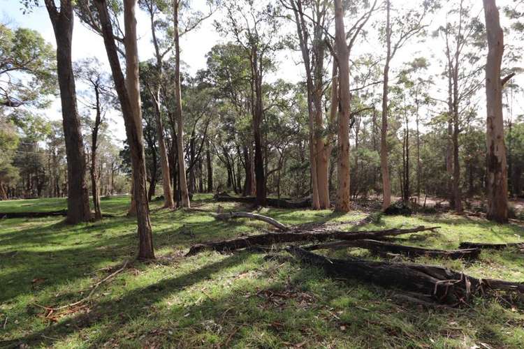 Seventh view of Homely lifestyle listing, Lot 2, 1261 Mount Shadforth Road, Denmark WA 6333