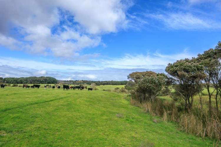 Fourth view of Homely lifestyle listing, Lot 1 Ficifolia Road, Denmark WA 6333