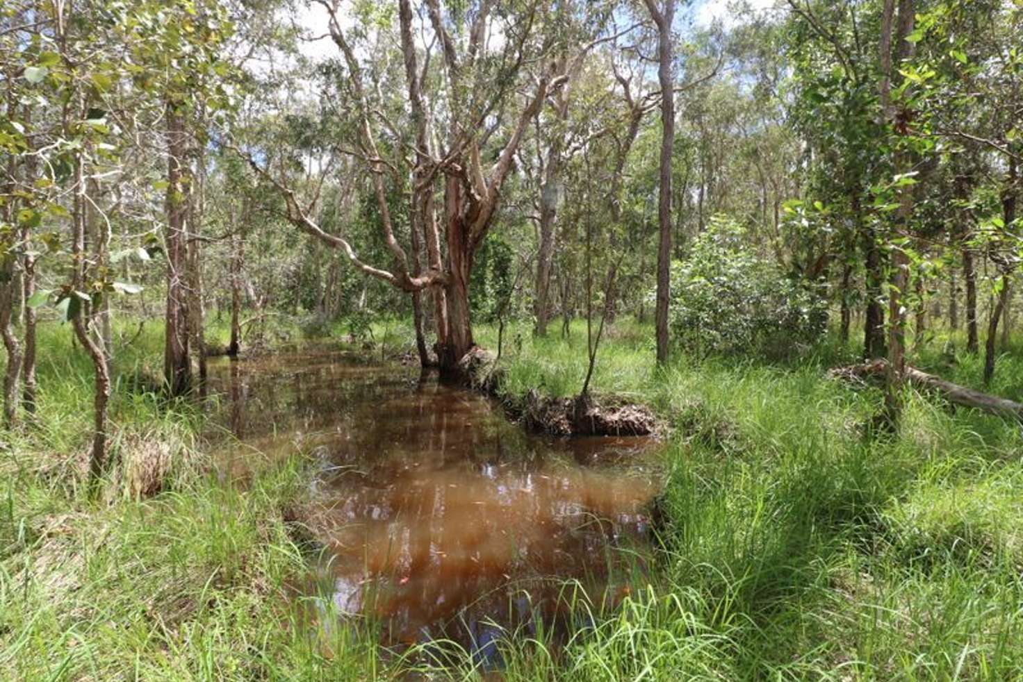 Main view of Homely ruralOther listing, LOT 47 Mullers Road, Redridge QLD 4660