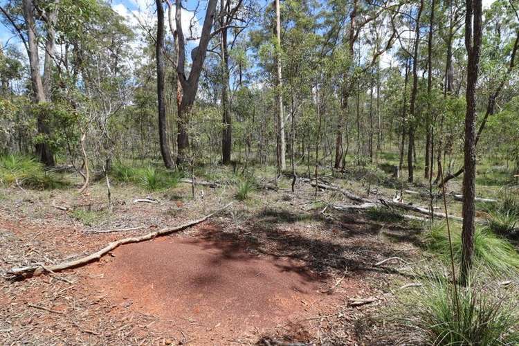 Second view of Homely ruralOther listing, LOT 47 Mullers Road, Redridge QLD 4660