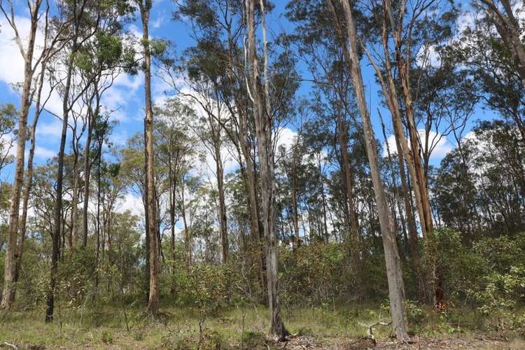 Third view of Homely ruralOther listing, LOT 47 Mullers Road, Redridge QLD 4660