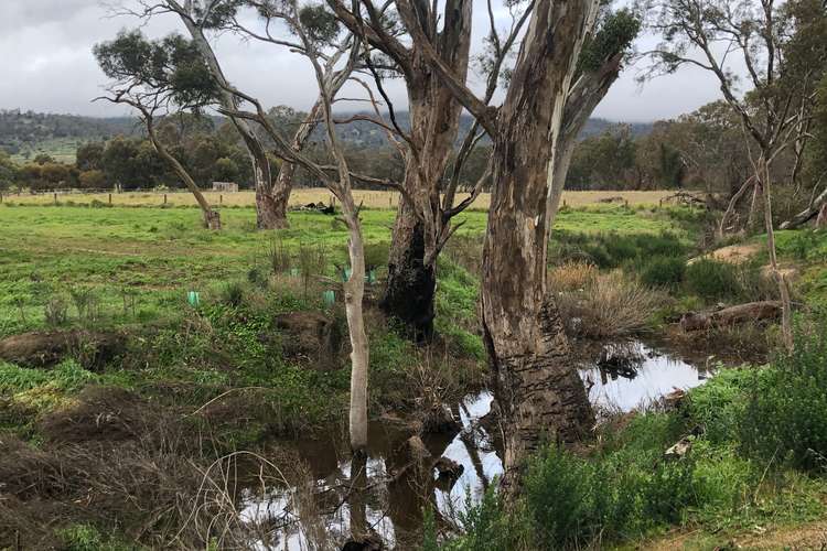 Seventh view of Homely residentialLand listing, LOT 13 Molly Drive, Harcourt VIC 3453