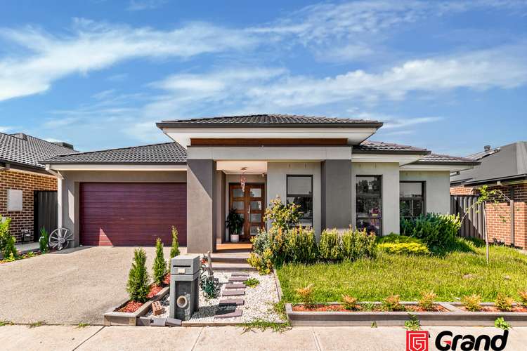 36 Glenrose Boulevard, Clyde North VIC 3978