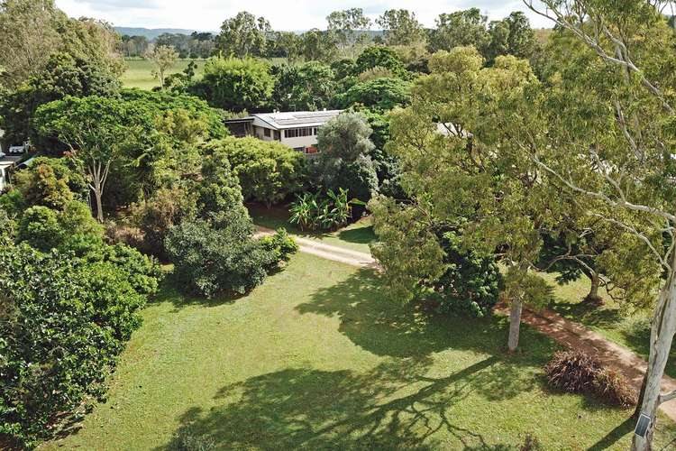 Main view of Homely acreageSemiRural listing, 103 TATE ROAD, Tolga QLD 4882