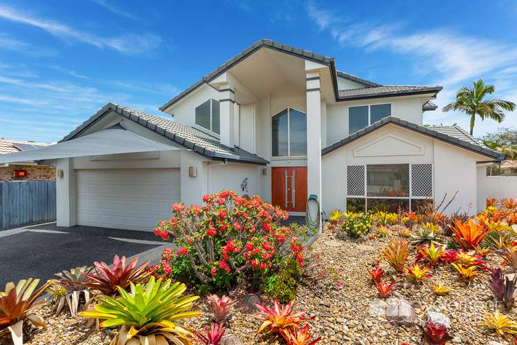 Main view of Homely house listing, 7 Intrepid Court, Newport QLD 4020