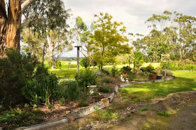 Third view of Homely lifestyle listing, 45 Oharas Road, Hazelwood VIC 3840