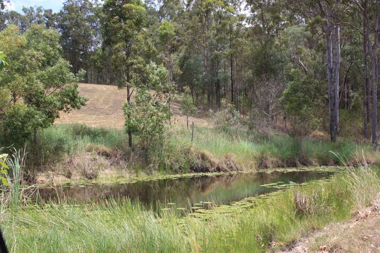 Main view of Homely acreageSemiRural listing, 99 Courtney Drive, Upper Coomera QLD 4209