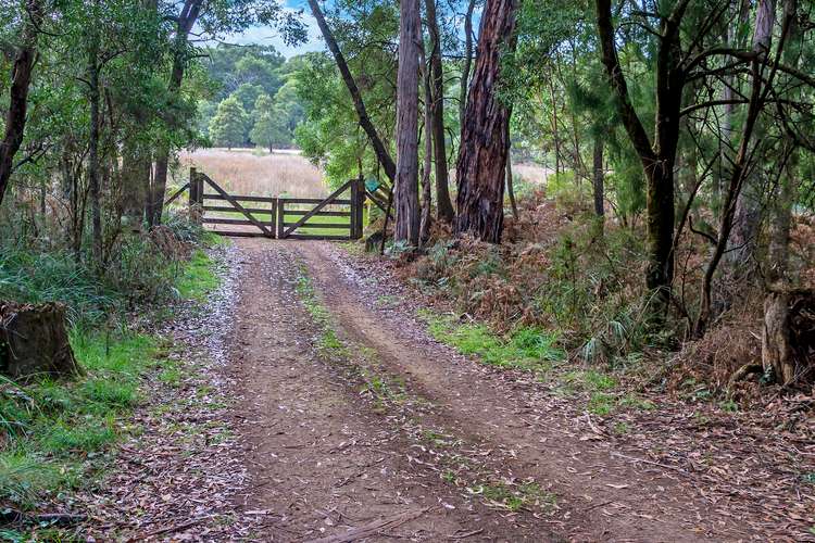 Second view of Homely acreageSemiRural listing, 711 Surry River-Gorae Road, Gorae VIC 3305
