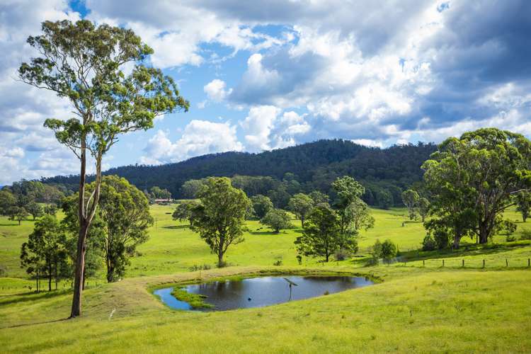 Second view of Homely acreageSemiRural listing, 9914 Princes Highway, Cobargo NSW 2550