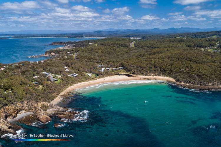 Sixth view of Homely acreageSemiRural listing, 11-21 Beach Parade, Guerilla Bay NSW 2536