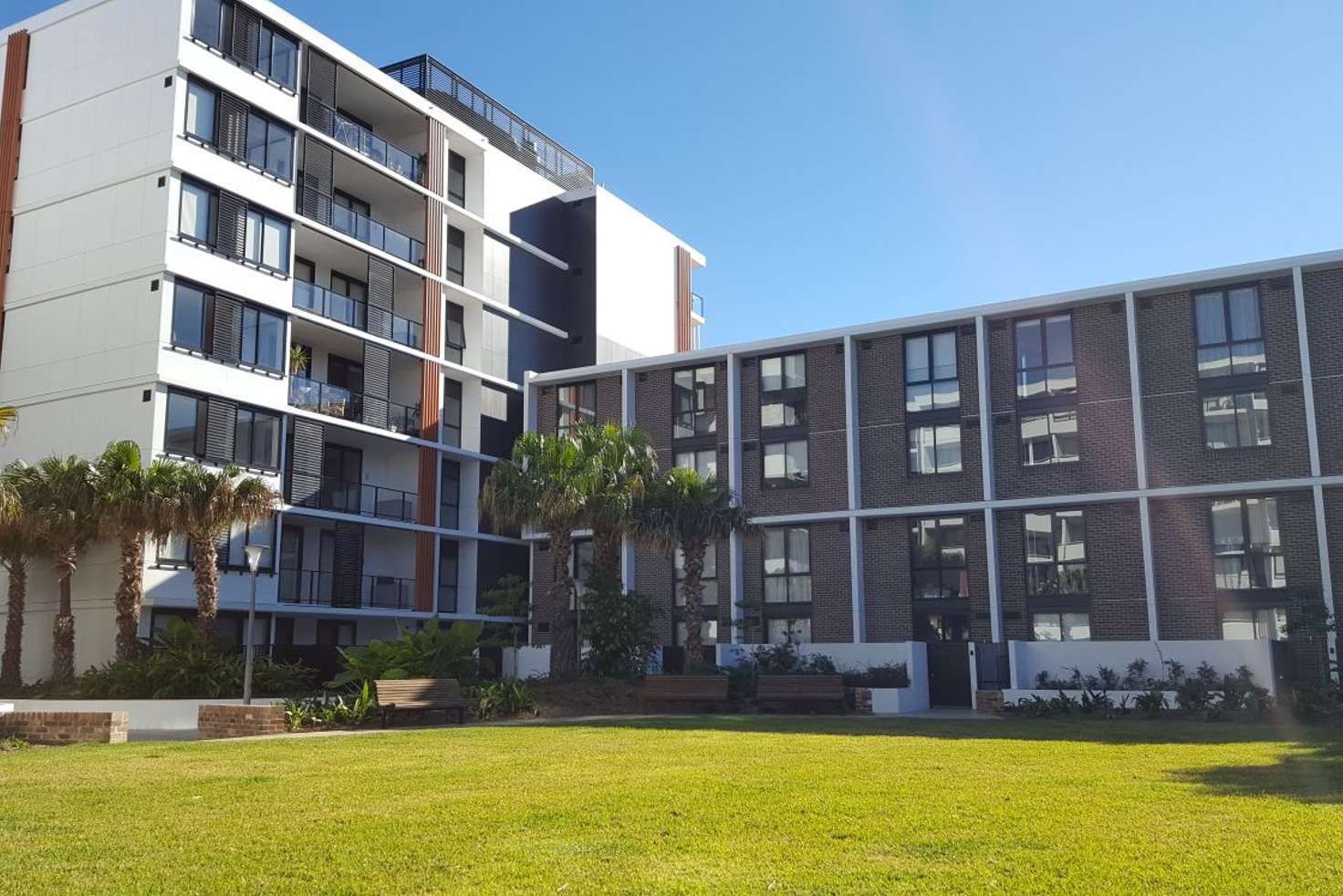 Main view of Homely apartment listing, B3305/50 Pemberton St, Botany NSW 2019