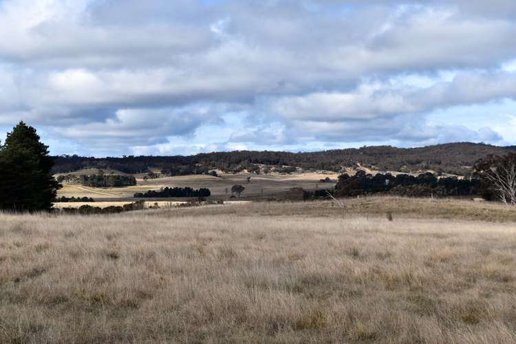 Main view of Homely livestock listing, 654 Boro Road, Boro NSW 2622