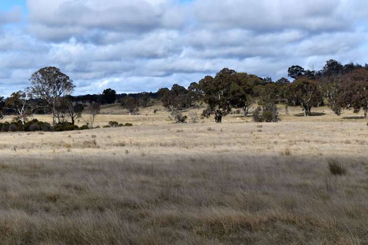 Fifth view of Homely livestock listing, 654 Boro Road, Boro NSW 2622