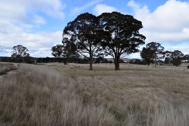 Seventh view of Homely livestock listing, 654 Boro Road, Boro NSW 2622