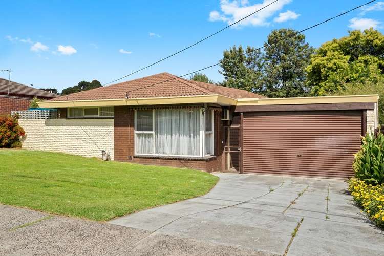 Main view of Homely house listing, 8A Chandler Road, Boronia VIC 3155