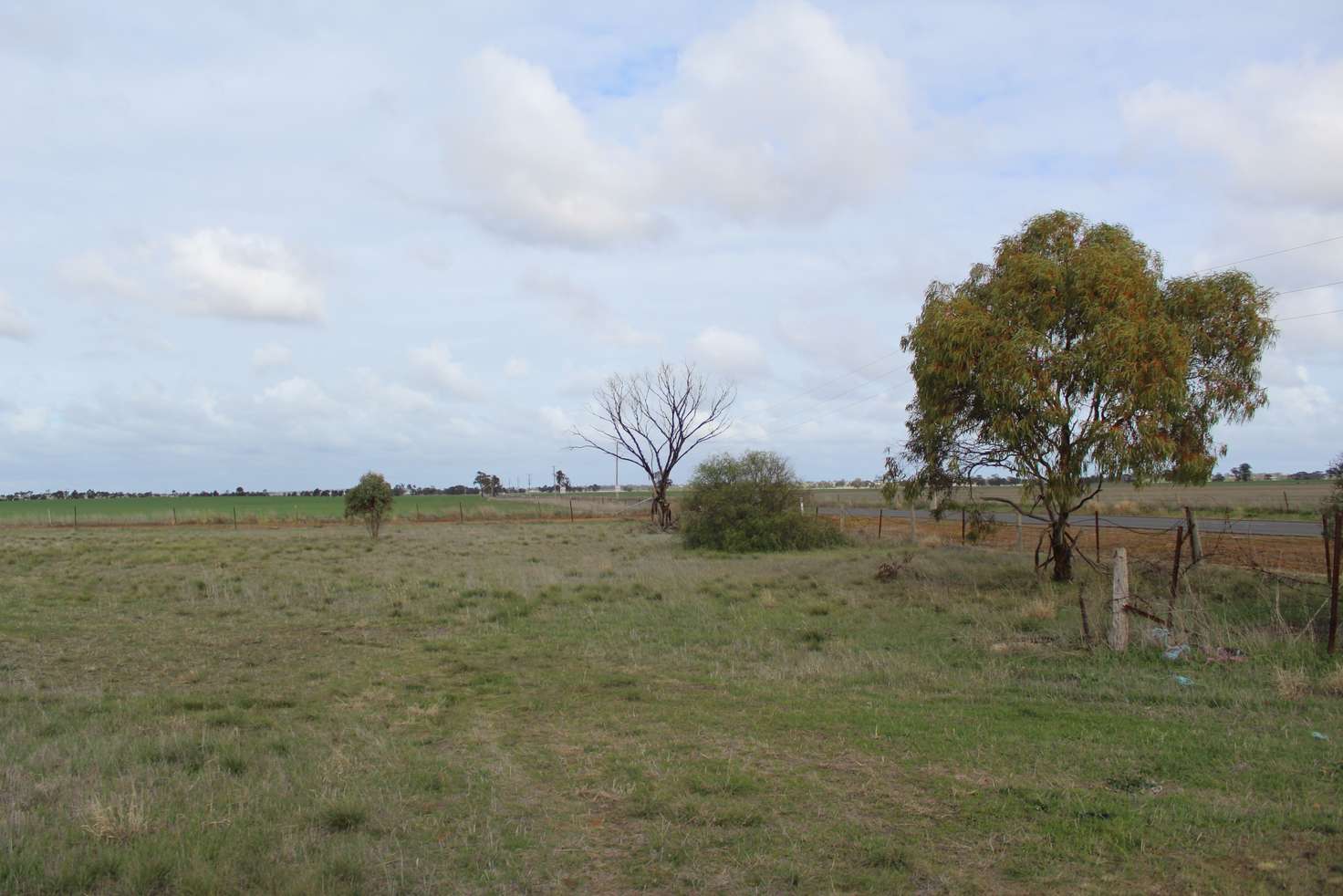 Main view of Homely residentialLand listing, 79 Leahy Street, Nhill VIC 3418
