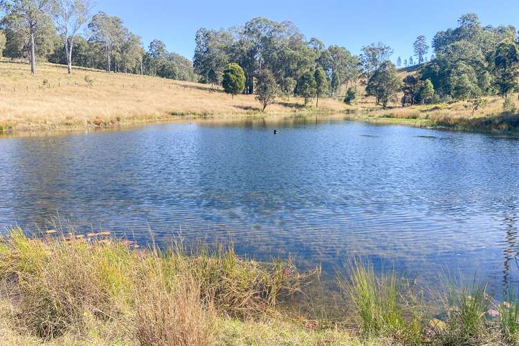 Fourth view of Homely lifestyle listing, 79 Mooral Creek Road, Wingham NSW 2429