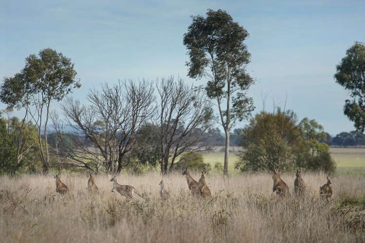 LOT CA 11B Carter Street, Clunes VIC 3370