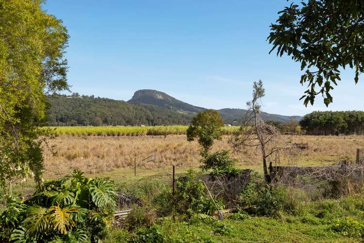 Fourth view of Homely acreageSemiRural listing, 1011 Yandina Coolum Road, Maroochy River QLD 4561