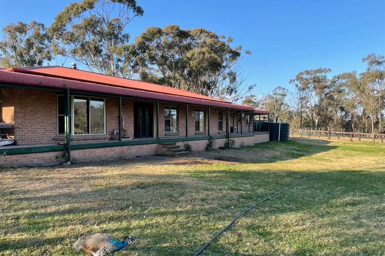 449 Redmanvale Road, Jerrys Plains NSW 2330