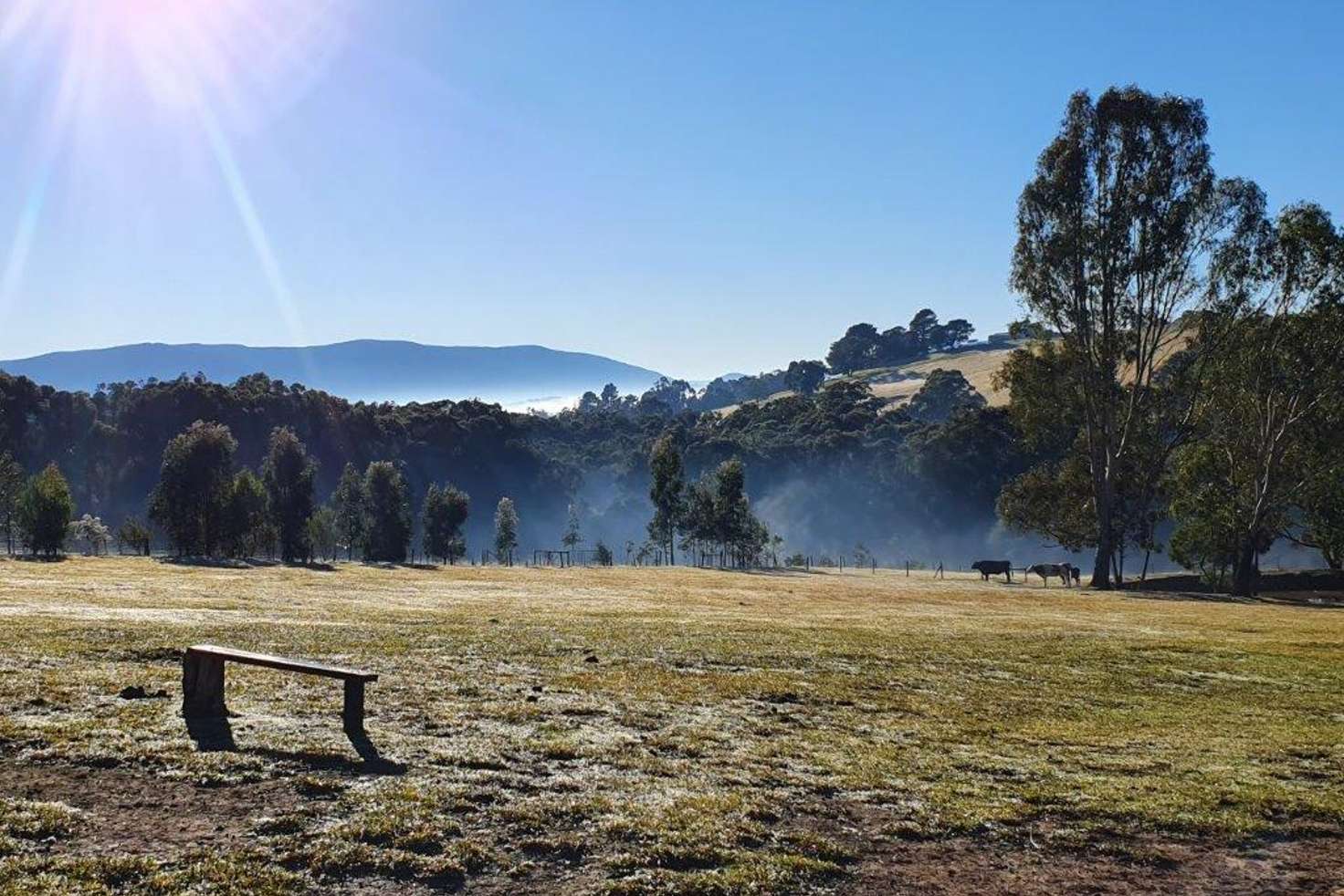 Main view of Homely acreageSemiRural listing, 40 Webster Road, Silvan VIC 3795