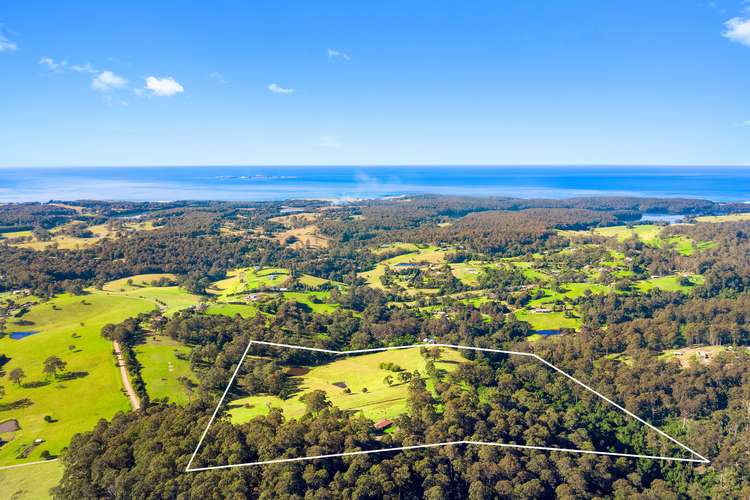 Main view of Homely acreageSemiRural listing, 233 Wagonga Scenic Drive, Narooma NSW 2546