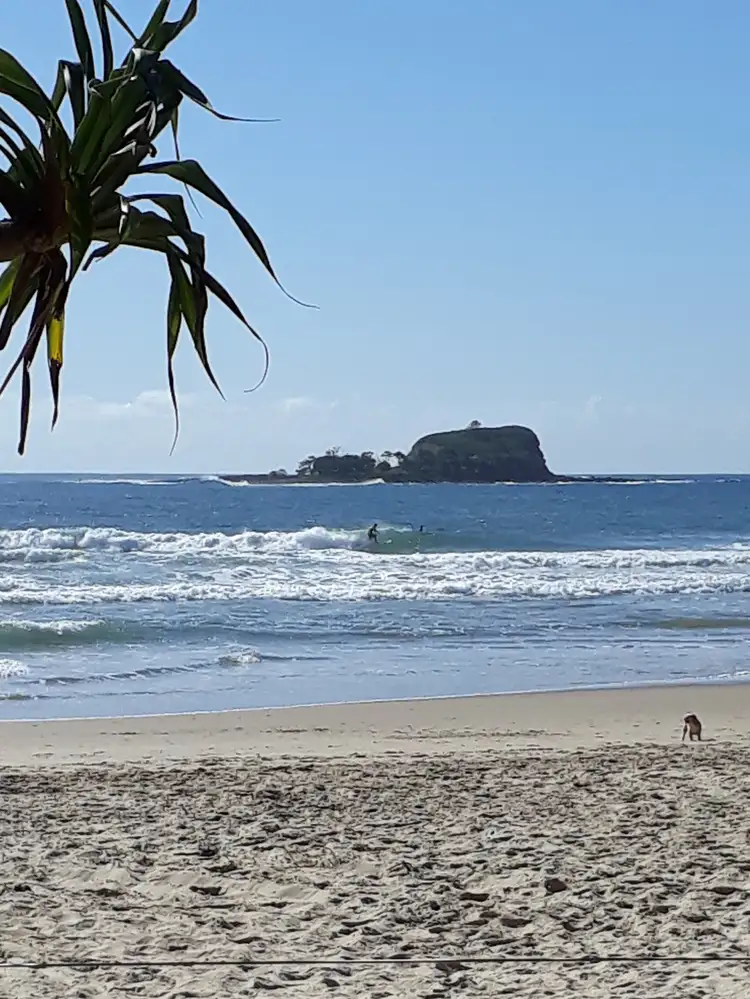 Main view of Homely semi-detached listing, 1/11 HANS BOYSEN DRIVE, Mudjimba QLD 4564