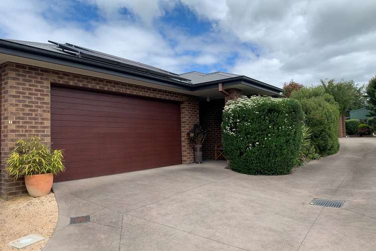 Main view of Homely unit listing, 1/5 Bellview Court, Mansfield VIC 3722