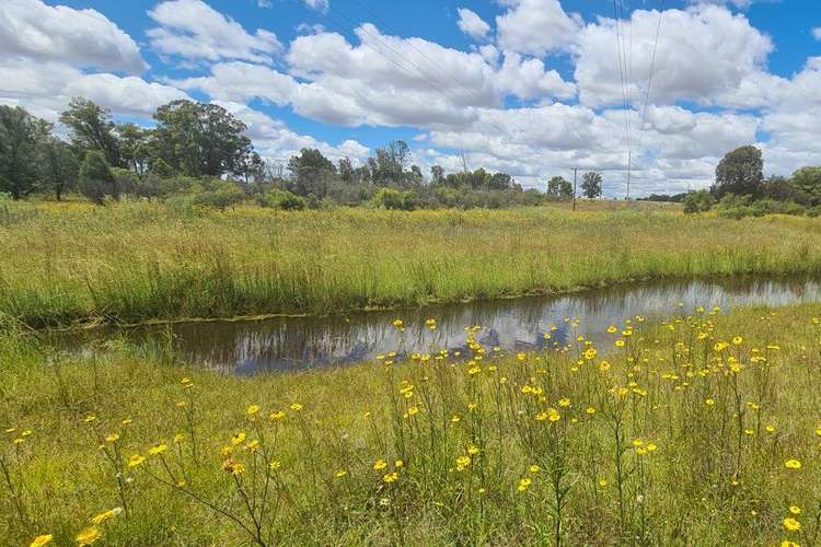 Sixth view of Homely residentialLand listing, Part 128R Minore Road, Minore NSW 2830