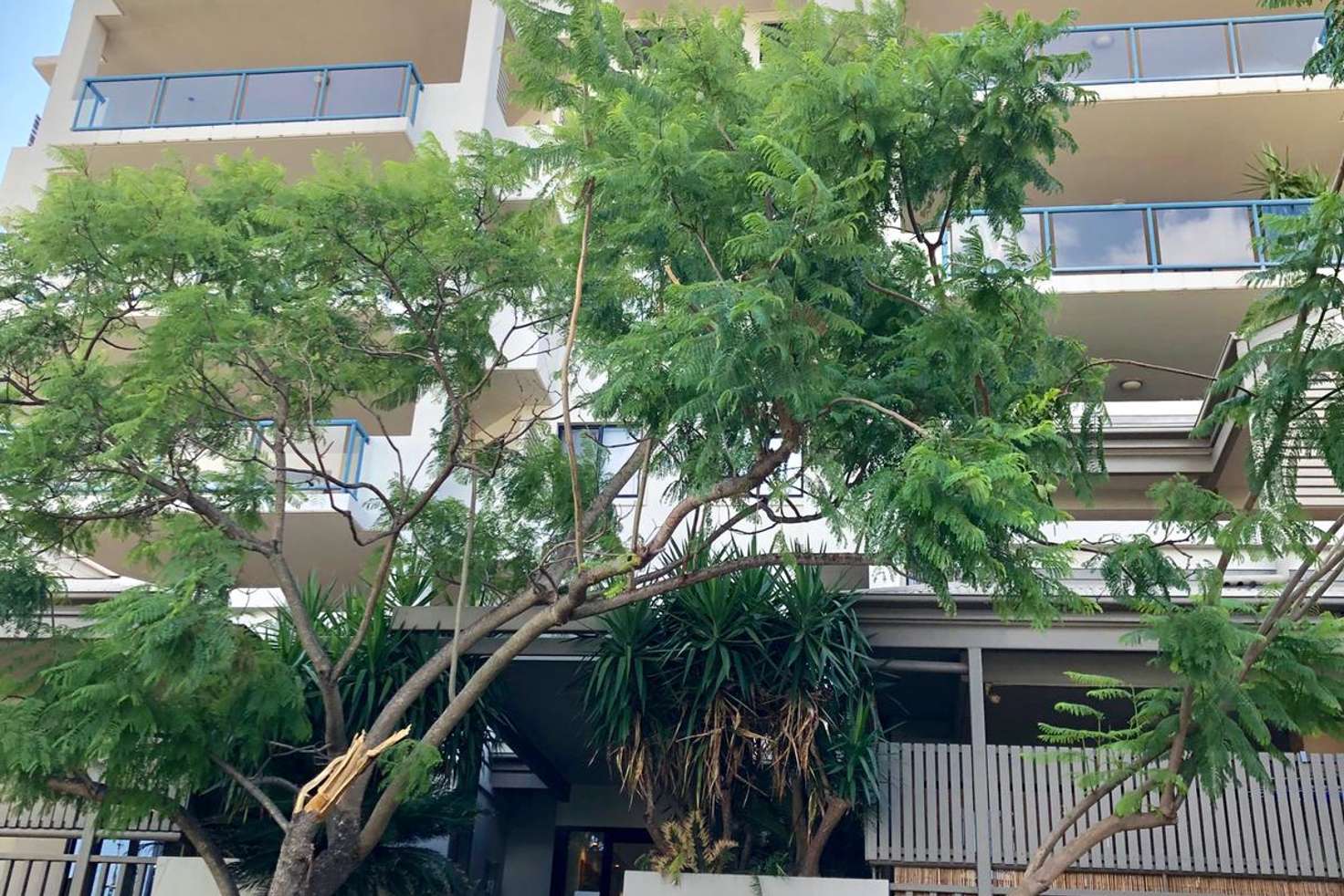 Main view of Homely apartment listing, B3/26 Parish Street, Spring Hill QLD 4000
