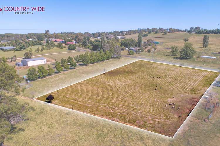 Fifth view of Homely residentialLand listing, 40 Elm Street, Guyra NSW 2365