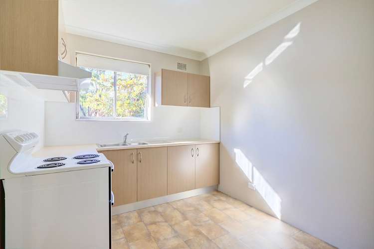 Main view of Homely unit listing, 3/6 Cambridge Street, Harris Park NSW 2150