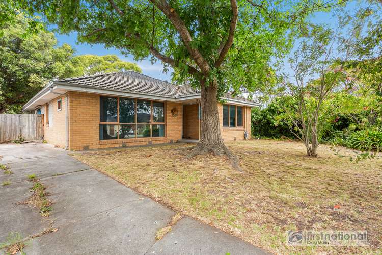 Main view of Homely house listing, 3 Raymond Street, Somerville VIC 3912
