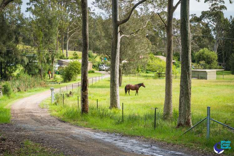 Fourth view of Homely acreageSemiRural listing, 7440 Princes Highway, Narooma NSW 2546