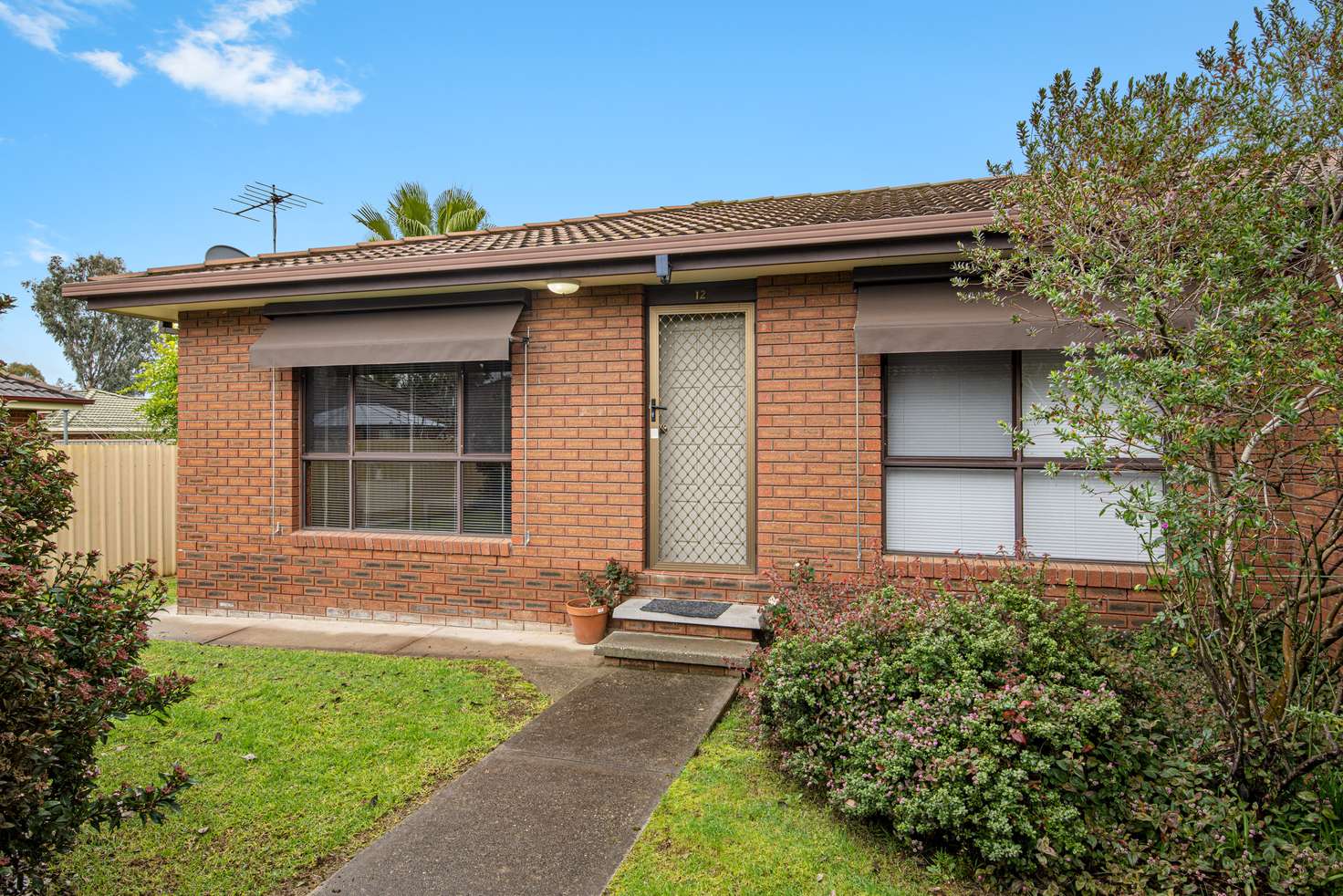 Main view of Homely unit listing, 12/595 Webb Street, Lavington NSW 2641