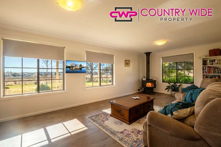 Third view of Homely acreageSemiRural listing, 162 Toms Gully Road, Black Mountain NSW 2365